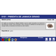 PIMIENTA DE JAMAICA GRANO (25 Kg.)