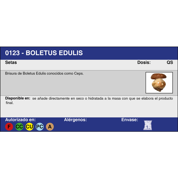 BOLETUS EDULIS brisura cap n. 2 (1 Kg.)